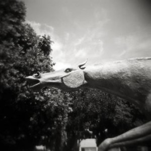 Kodak Plus-X 120 Film shot in our house Holga